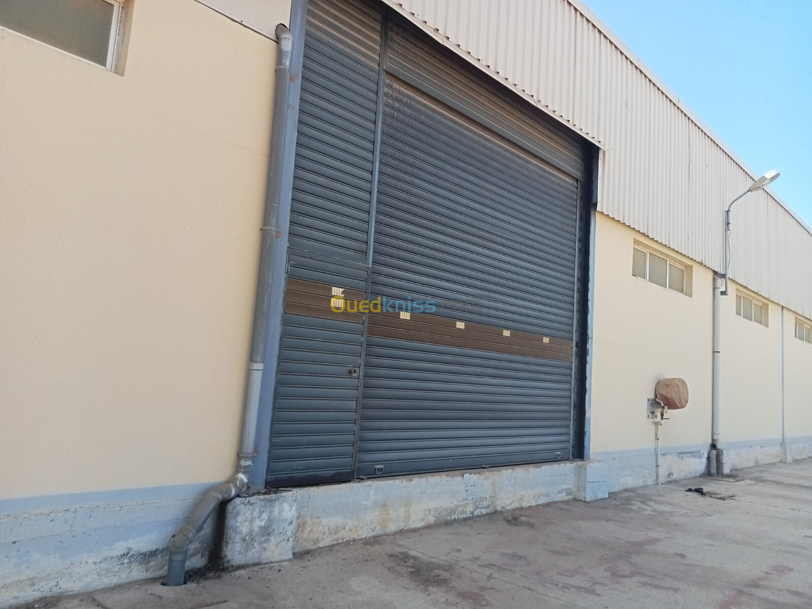 Location Hangar Alger Baraki