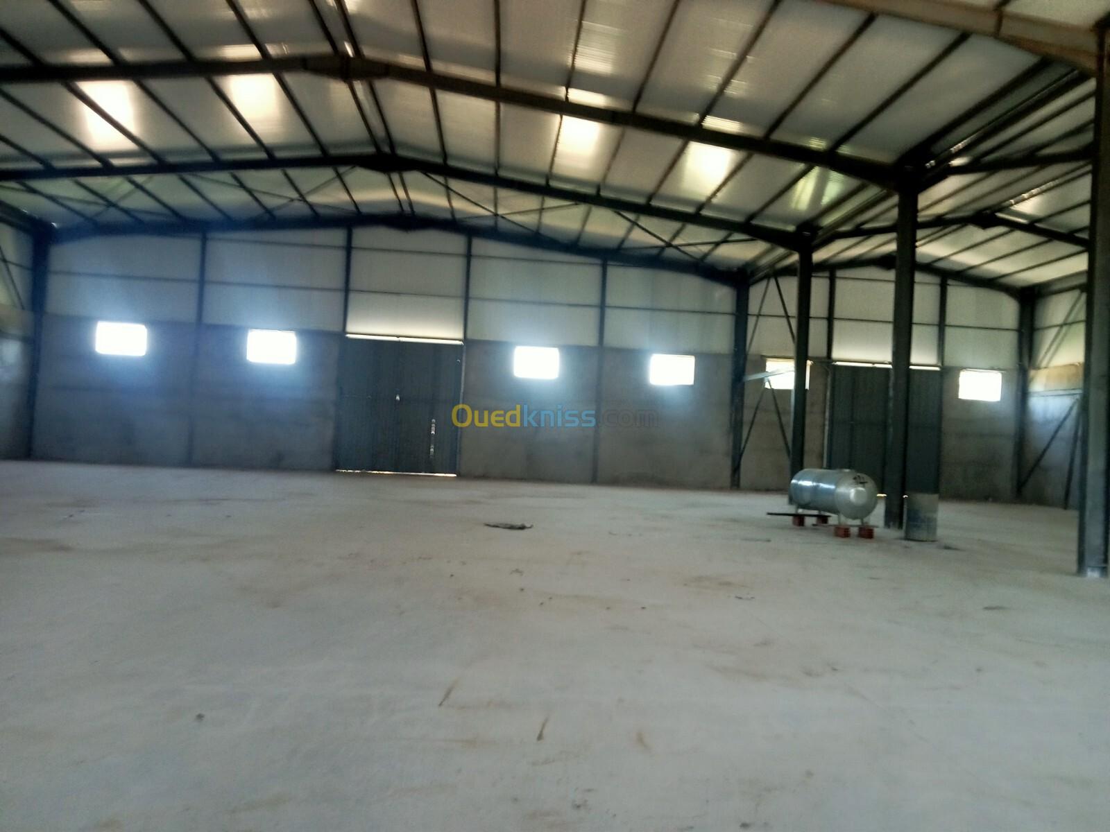 Location Hangar Boumerdès Ouled moussa