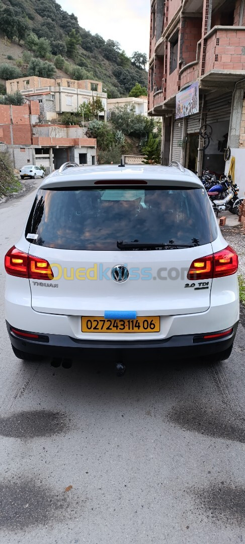 Volkswagen Tiguan 2014 CUP