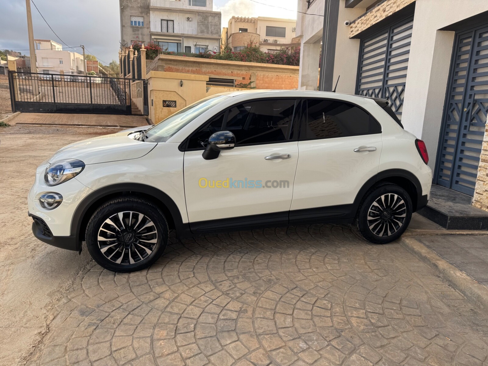 Fiat 500X 2024 Blub