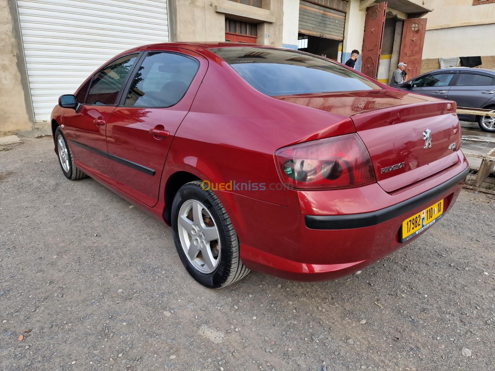 Peugeot 407 2010 407