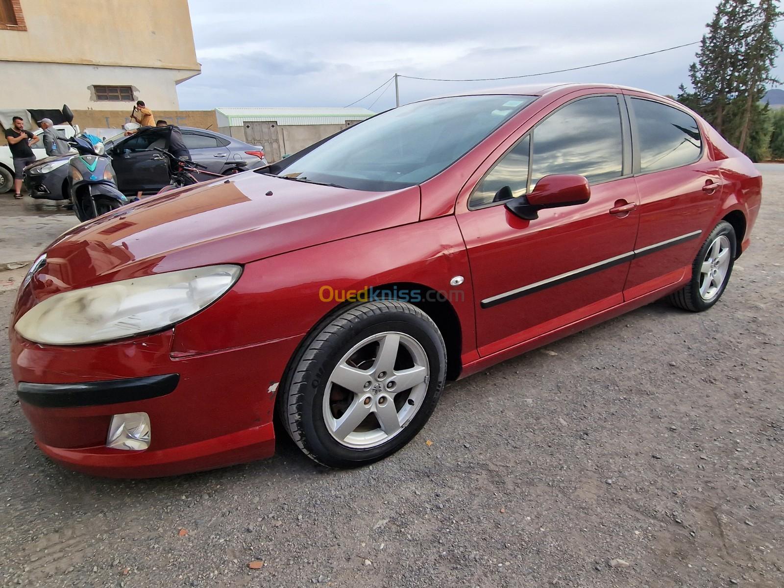 Peugeot 407 2010 407