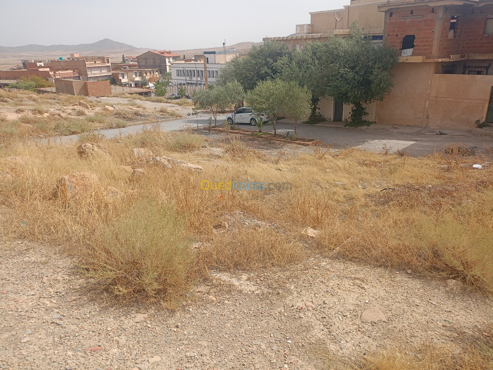 Vente Terrain Batna El madher