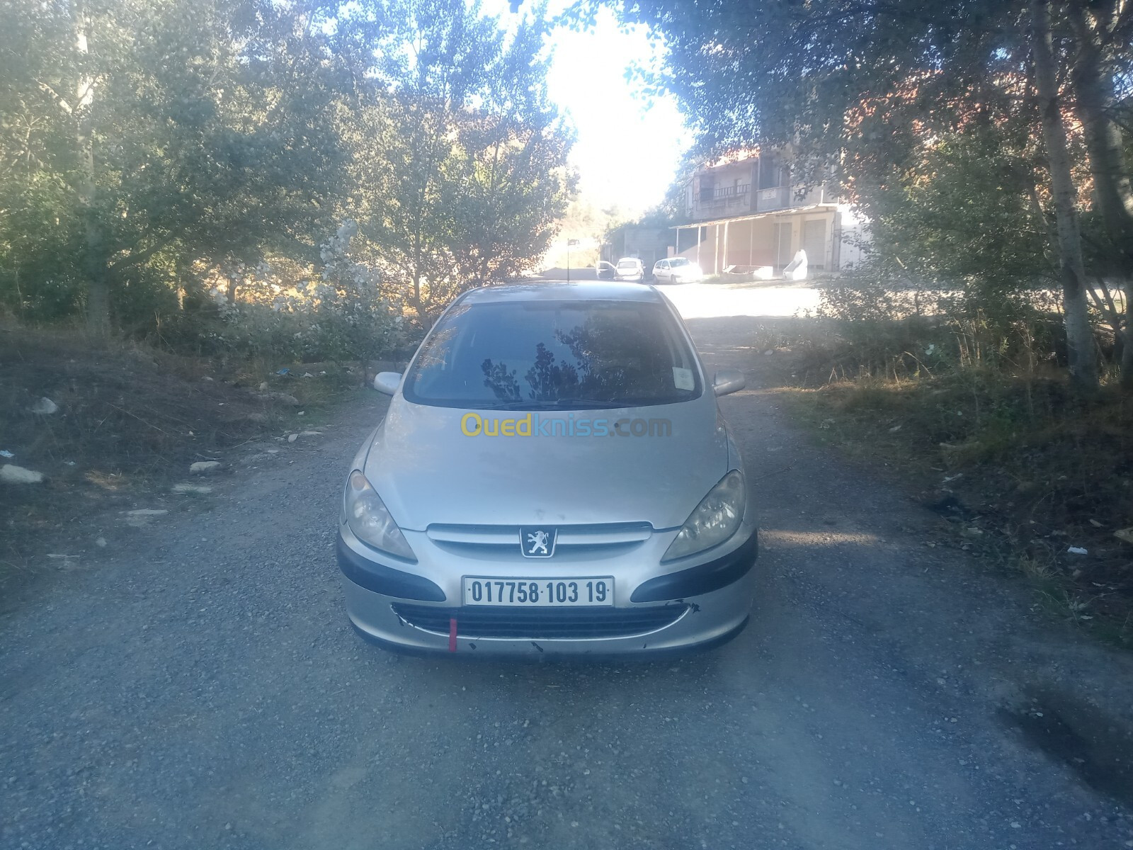 Peugeot 307 2003 307