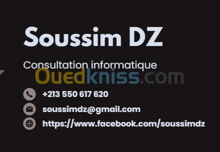 Consultant IT (Informatique)