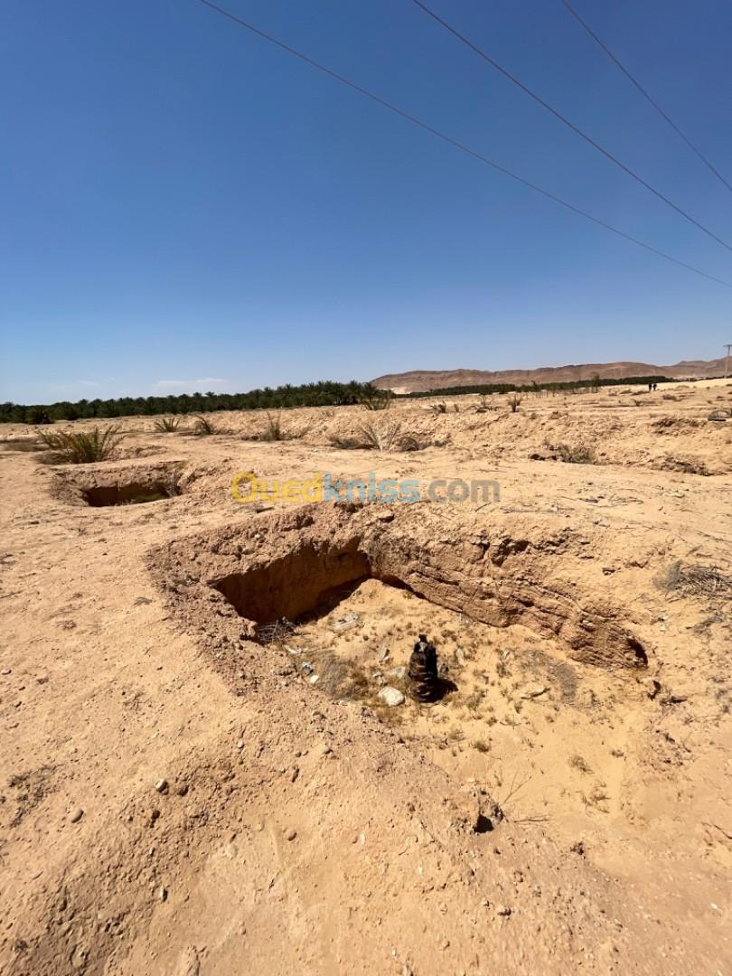 Vente Terrain Biskra Lichana