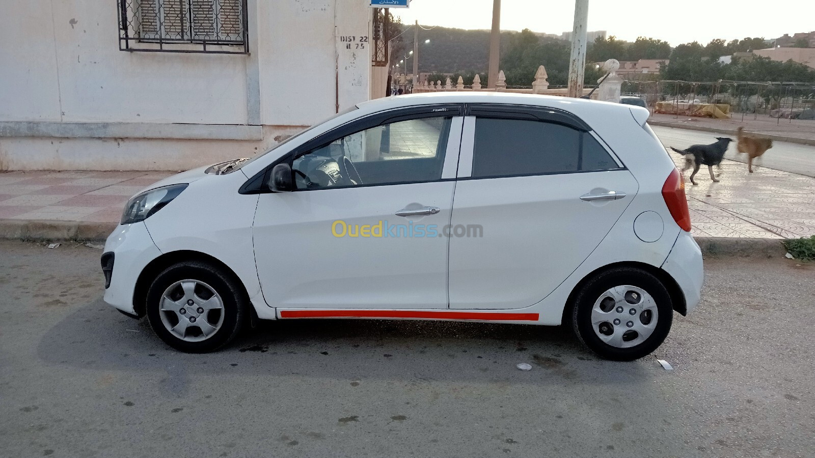 Kia Picanto 2013 باز كليم