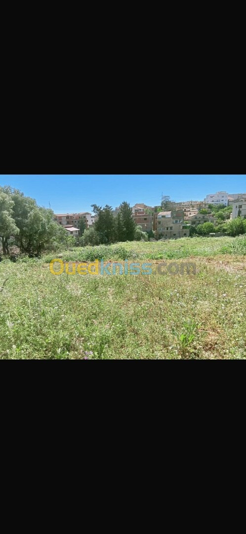 Vente Terrain Alger Draria