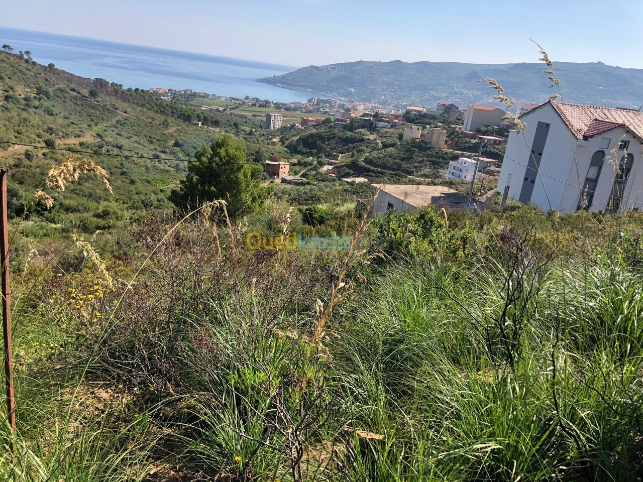 Vente Terrain Tizi ouzou Azeffoun Tizi Ouzou Algérie