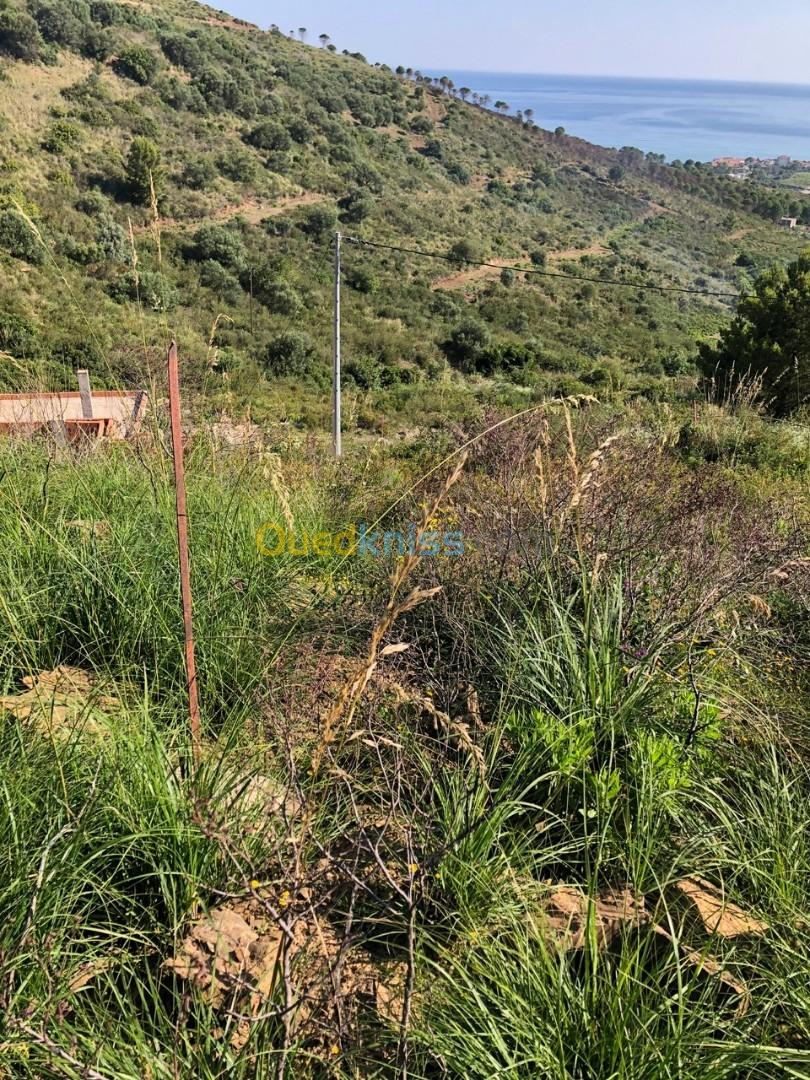 Vente Terrain Tizi ouzou Azeffoun Tizi Ouzou Algérie