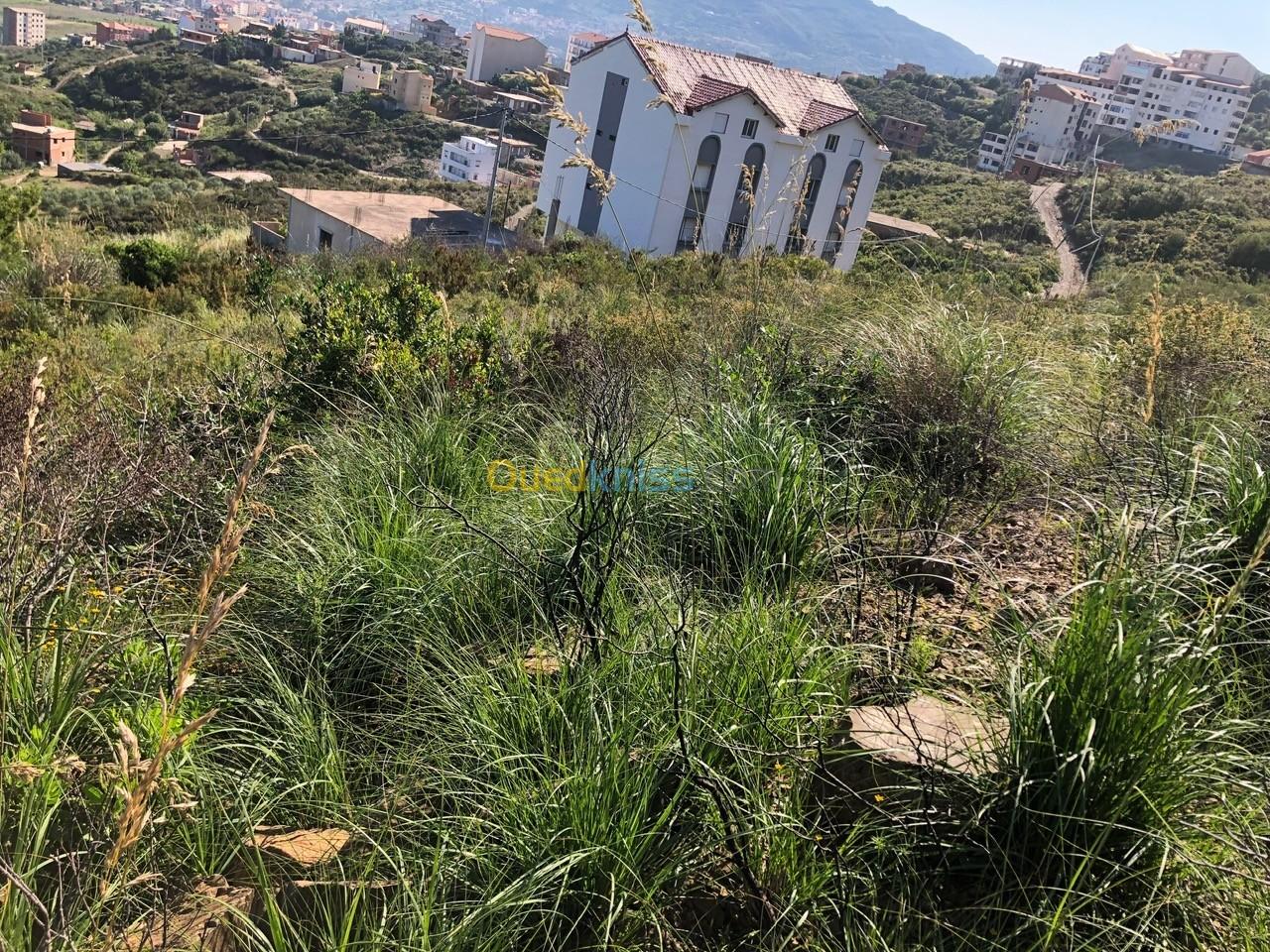 Vente Terrain Tizi ouzou Azeffoun Tizi Ouzou Algérie