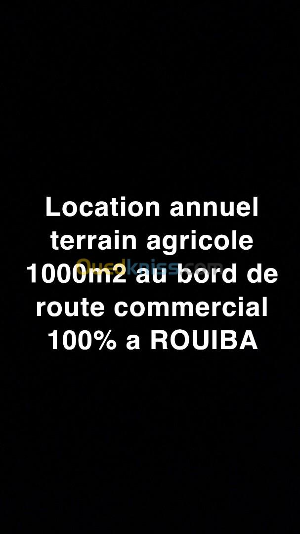 Location Terrain Alger Rouiba