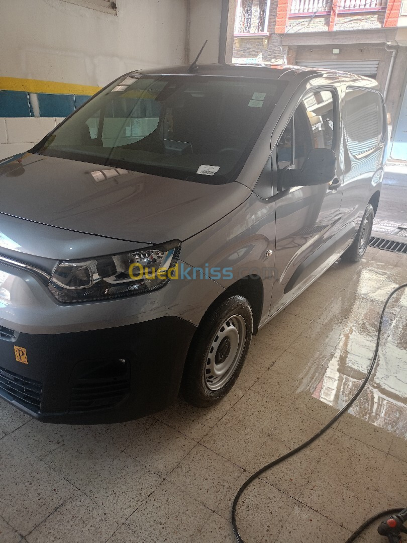 Fiat Doblo 2024 Professionnel