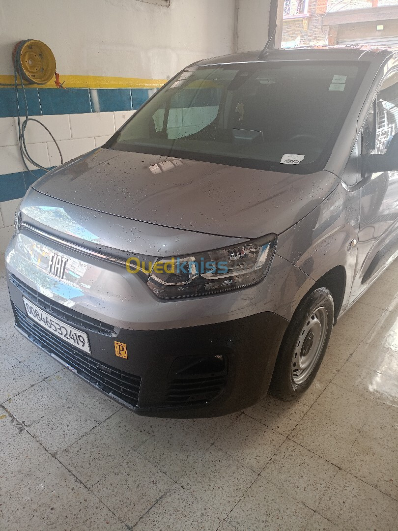 Fiat Doblo 2024 Professionnel