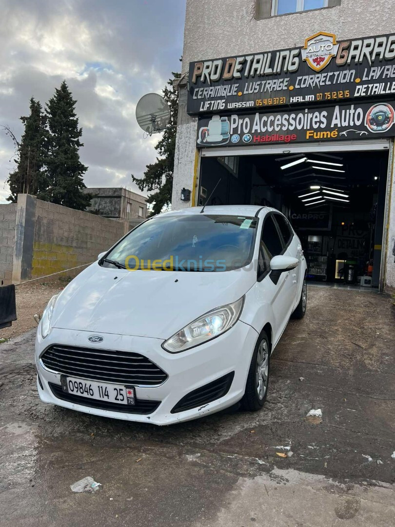 Ford Fiesta 2014 Trend Plus