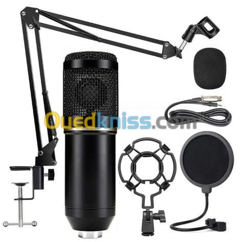 MICROPHONE PROFESSIONELLE DJ M-800U