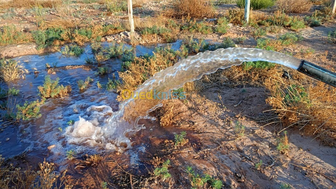 Vente Terrain Agricole Djelfa Benhar