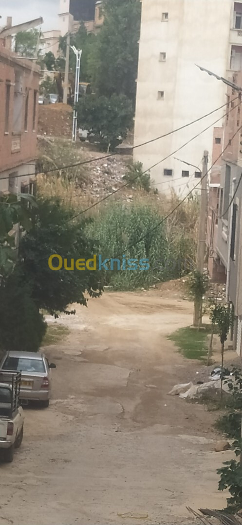 Vente Carcasse Boumerdès Ouled moussa