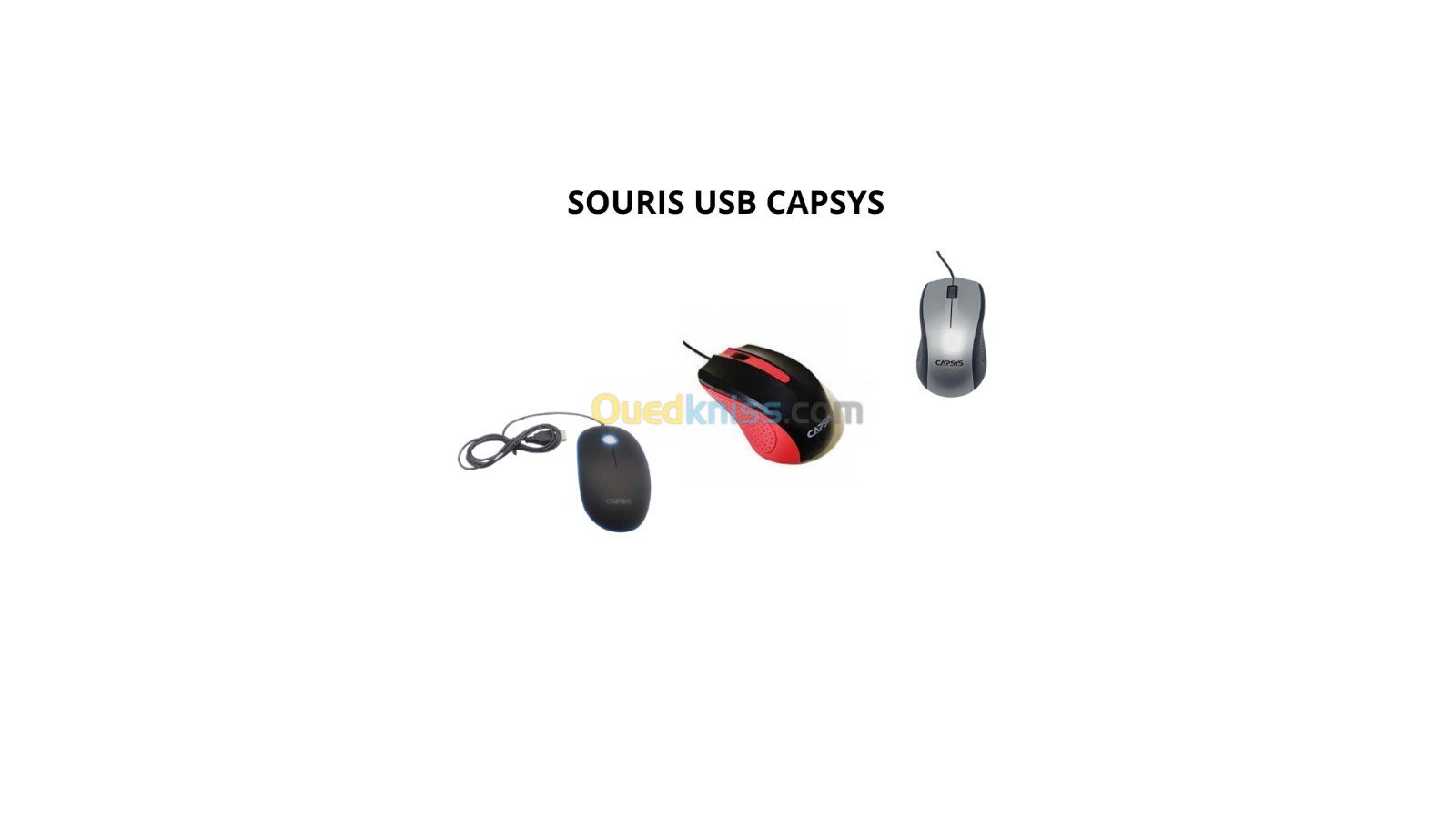 Souris USB CAPSYS CS201 / CS215 / CS248