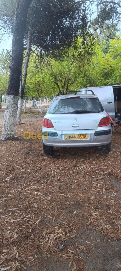 Peugeot 307 2005 307