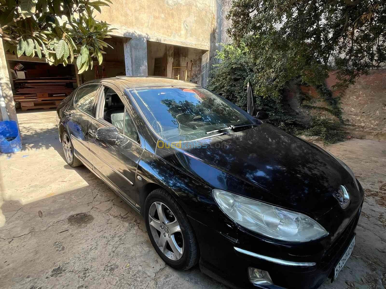 Peugeot 407 2009 407