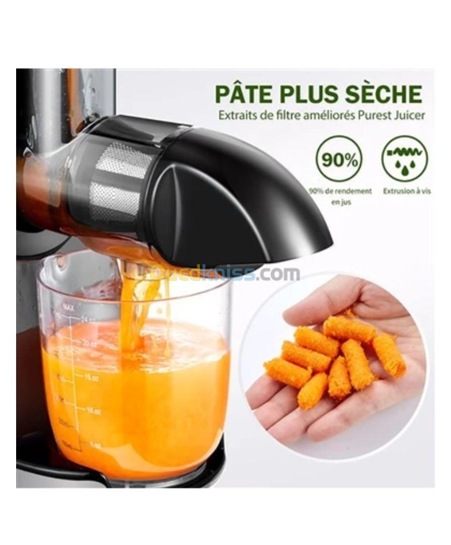 Amzchef Extracteur de Jus, multifonction 3 en 1 Slow Juicer Presse à Froid Machine, 80 tr/min e