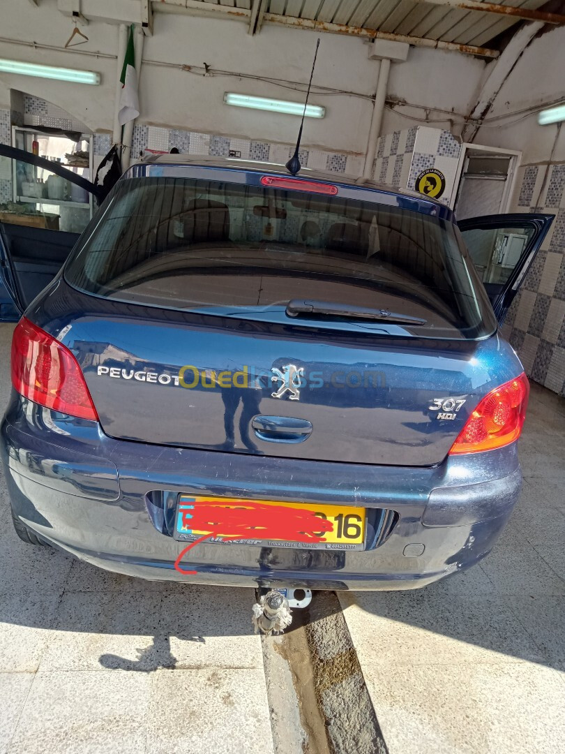 Peugeot 307 2006 Oxygo