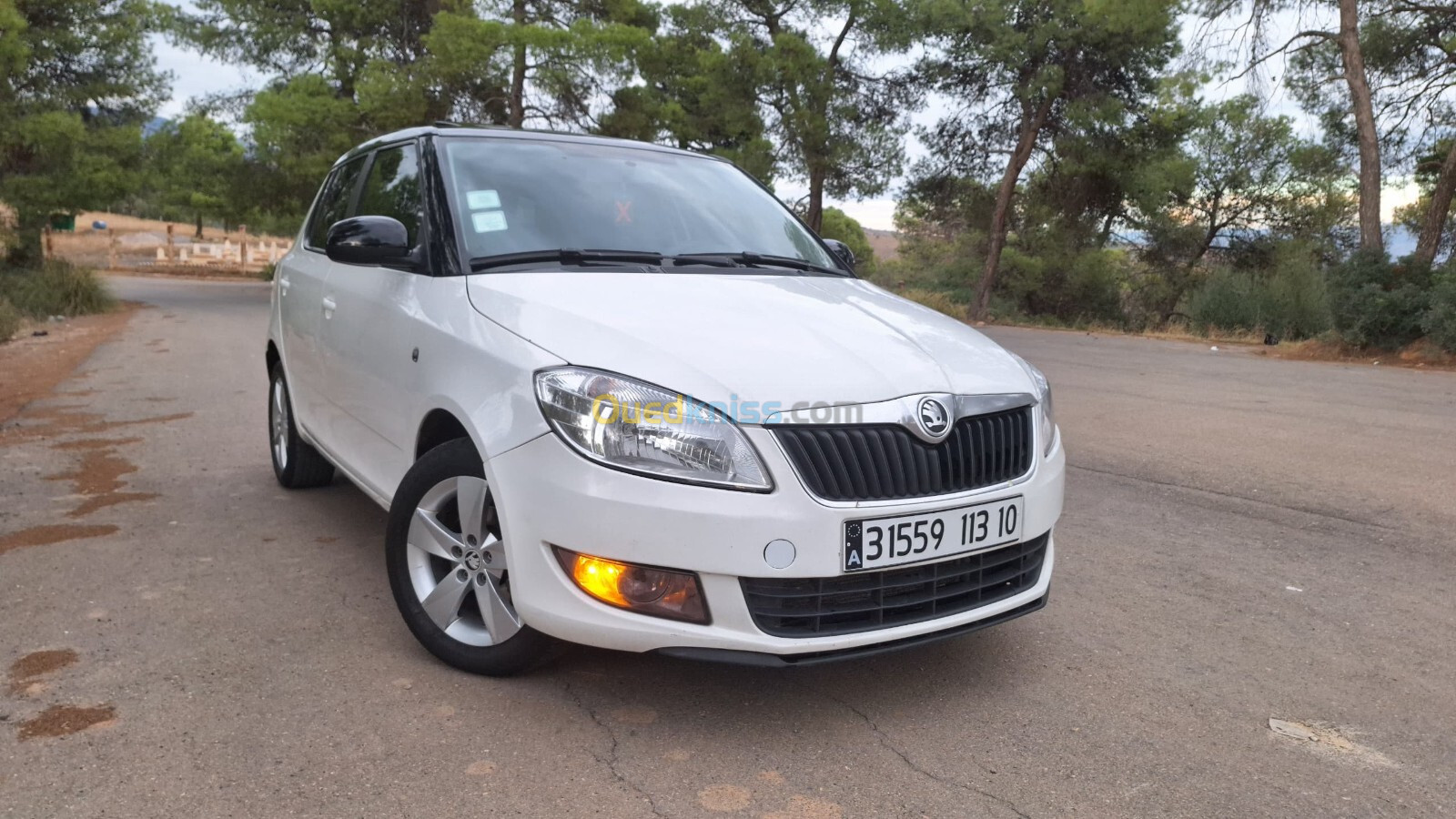 Skoda Fabia 2013 Fresh