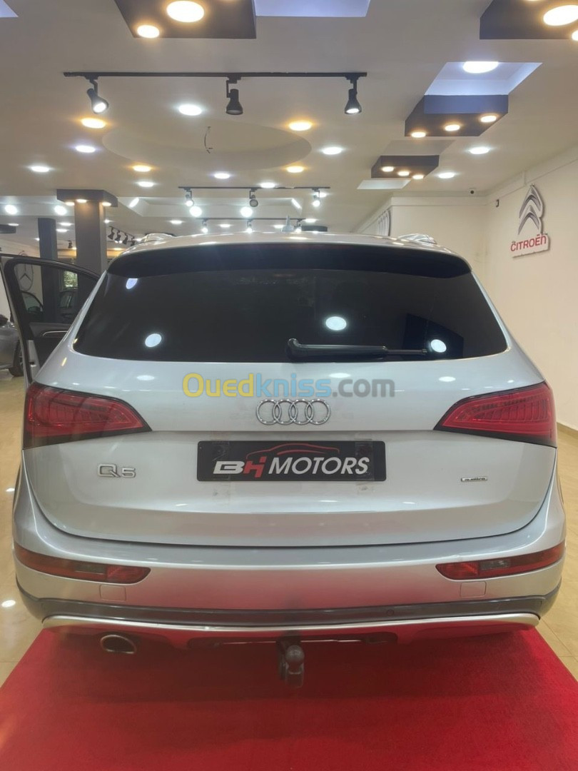 Audi Q5 2011 Off Road