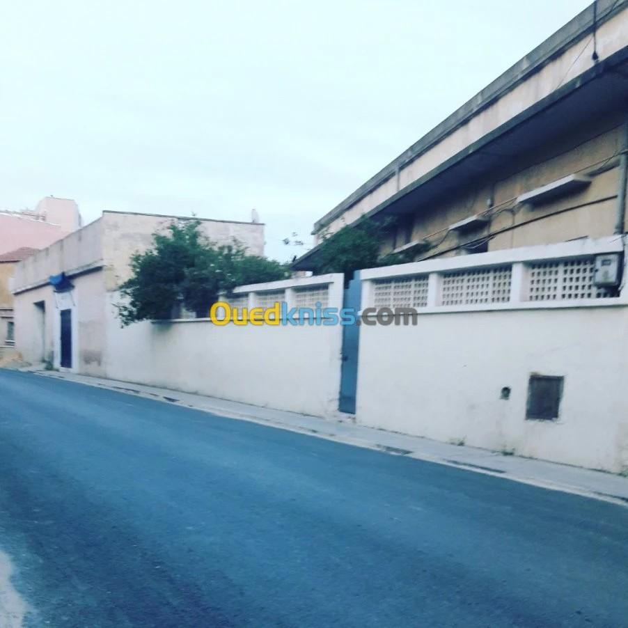 Vente Villa Sidi Bel Abbès Sidi bel abbes