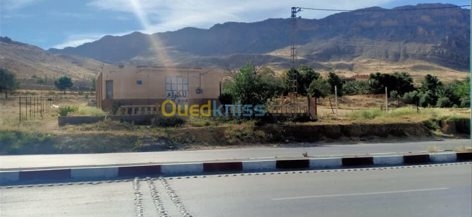 Vente Terrain Biskra El kantara