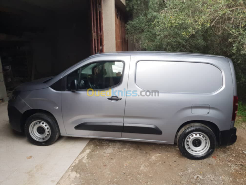 Fiat Doblo 2023 Professionnel