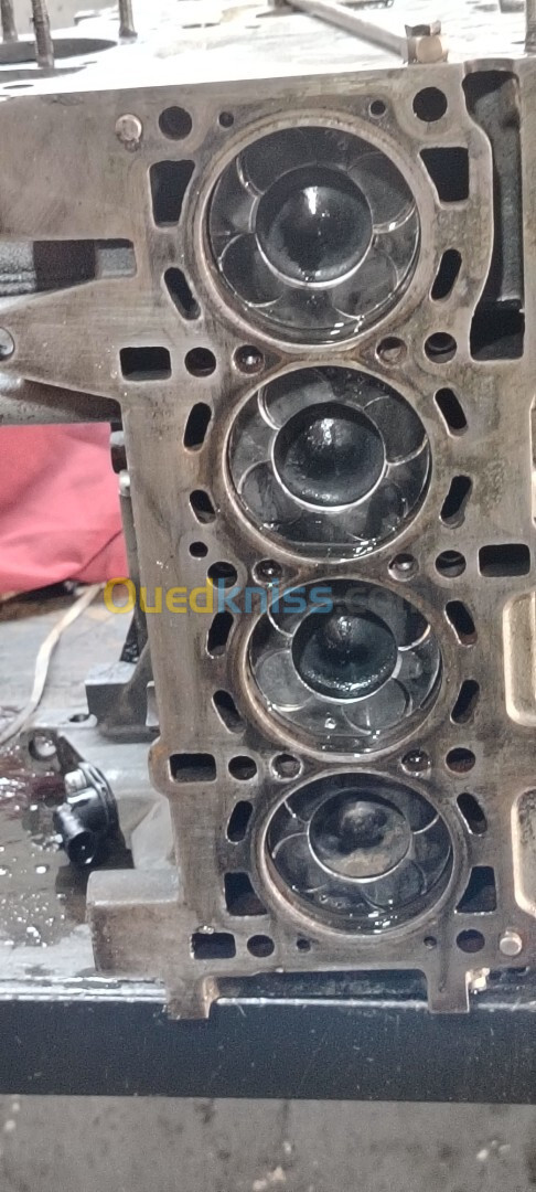 Demi moteur multi jet 1.3 diesel fiat