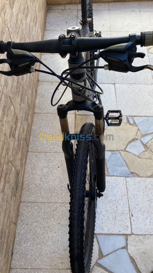 Ham mtb ml210