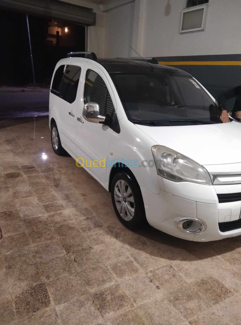 Citroen Berlingo 2010 