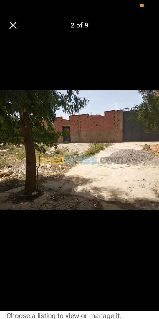 Vente Terrain Tiaret Tiaret