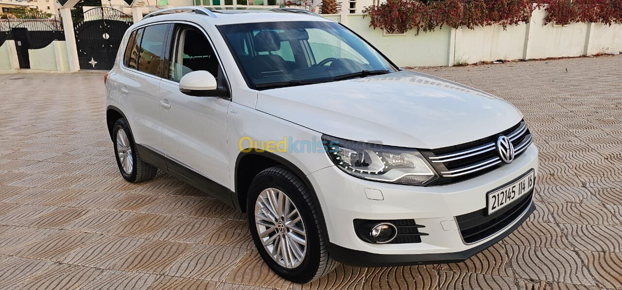 Volkswagen Tiguan 2014 Cup