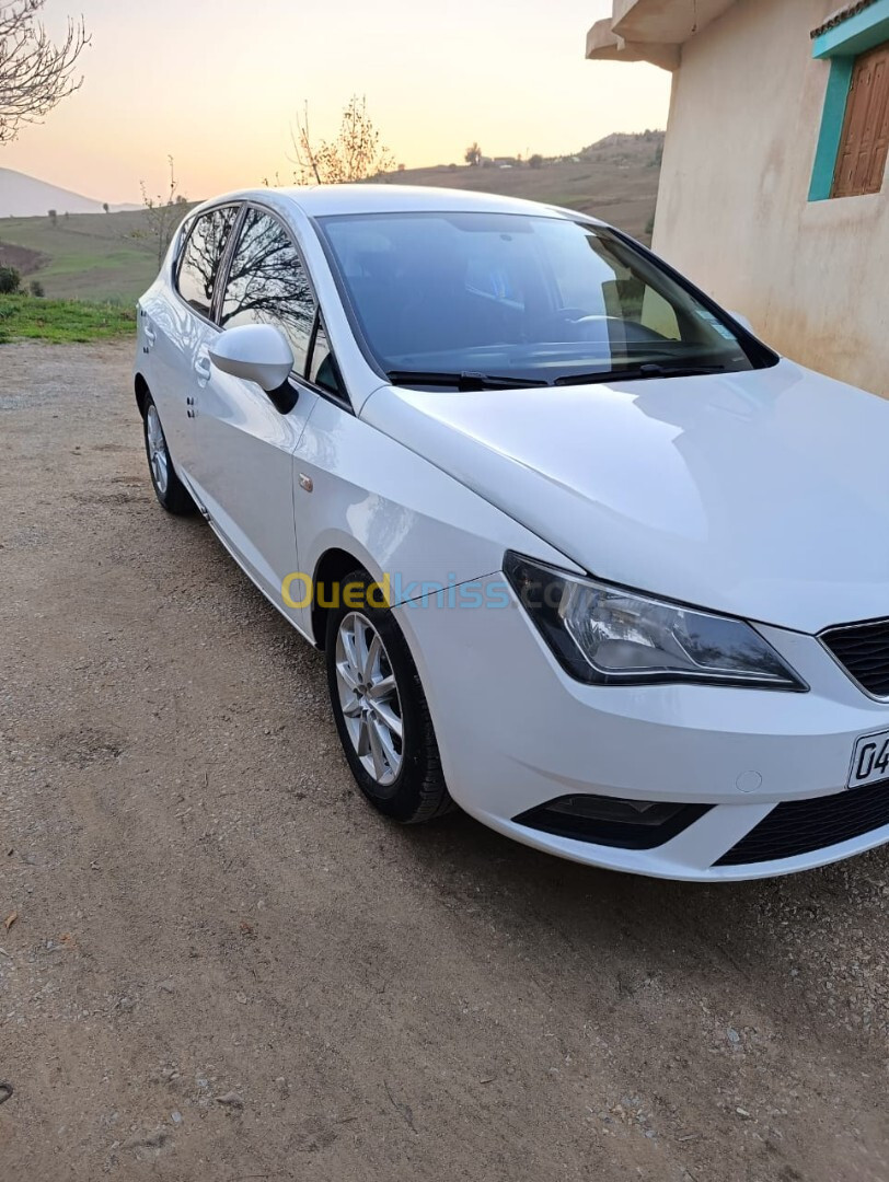 Seat Ibiza 2013 Fully