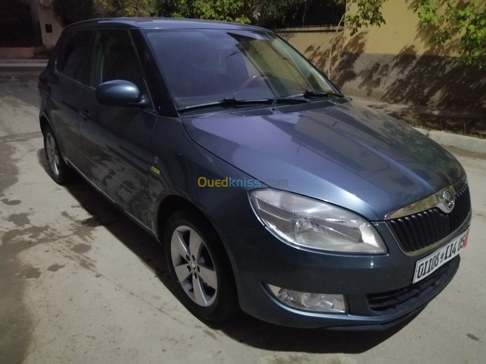 Skoda Fabia 2014 Fresh