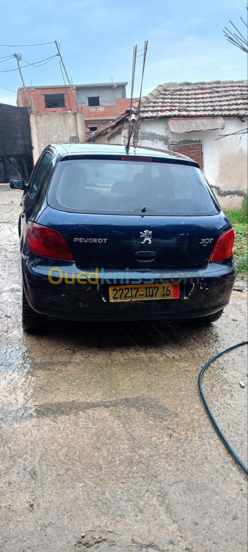 Peugeot 307 2007 307