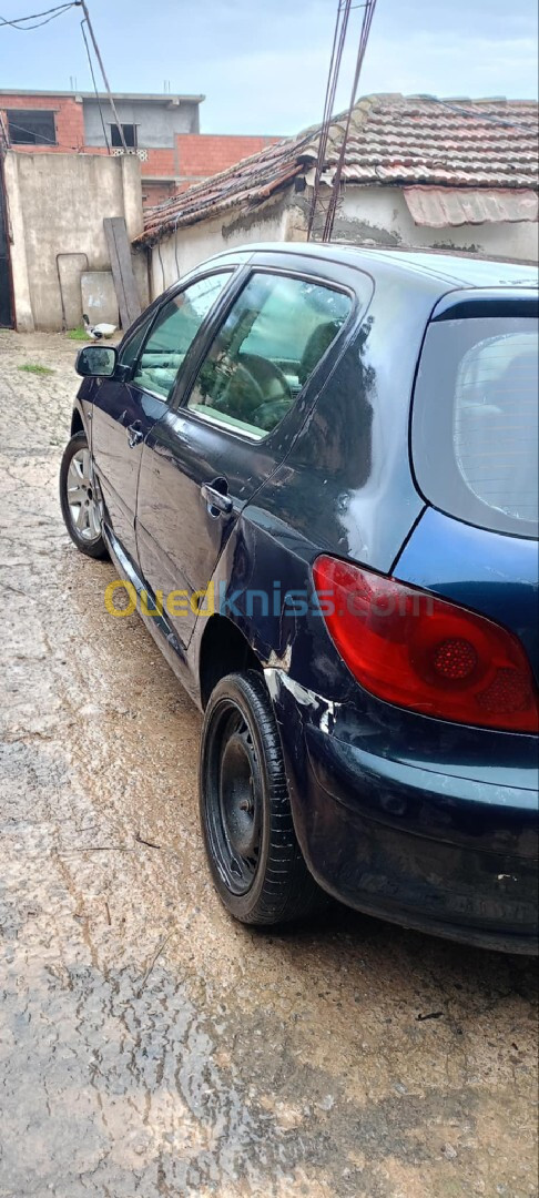 Peugeot 307 2007 307