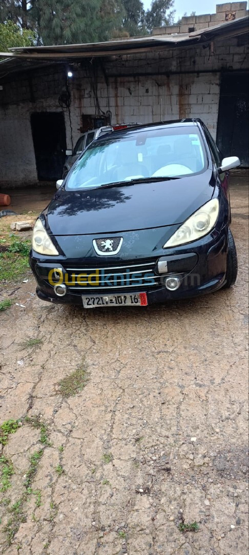 Peugeot 307 2007 307