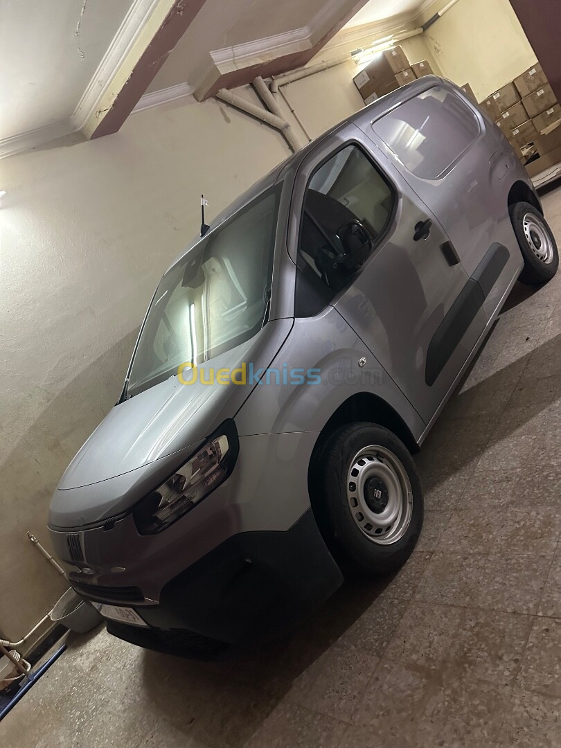 Fiat Doblo 2024 Lokale