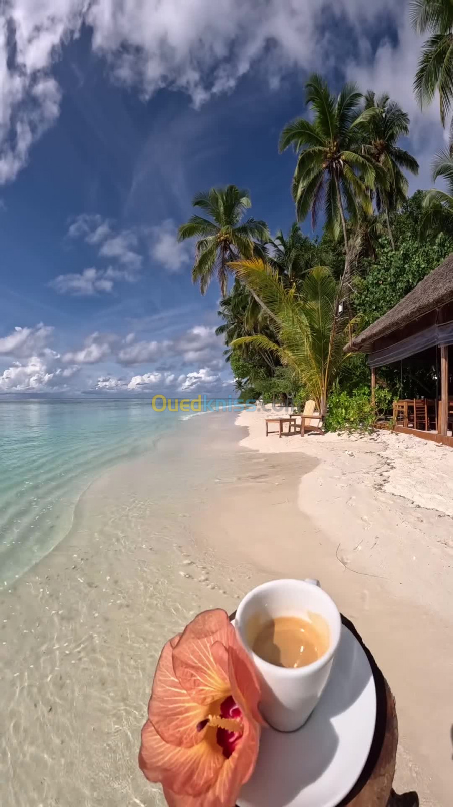 Voyage aux îles Maldives  chambre deluxe  Villa sur pilotis beach villa