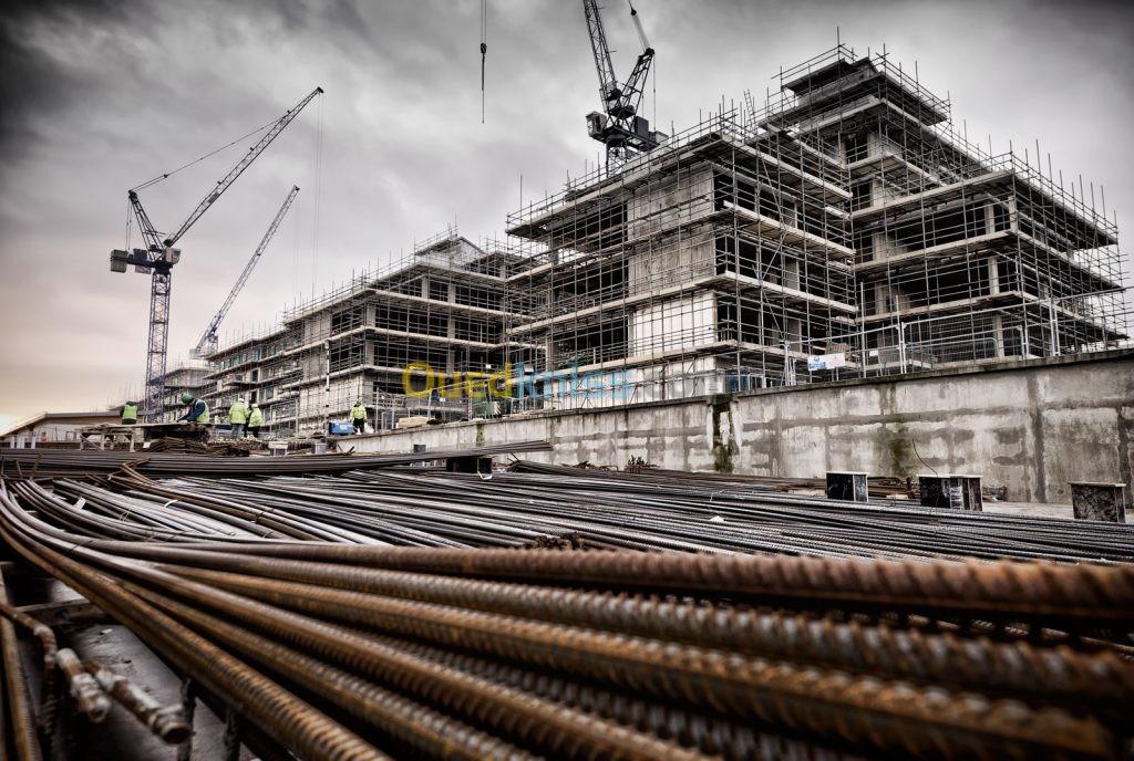 Société de construction chinoise ( BTP )