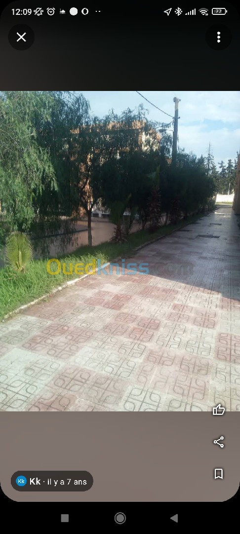 Vente Appartement F3 Blida Blida