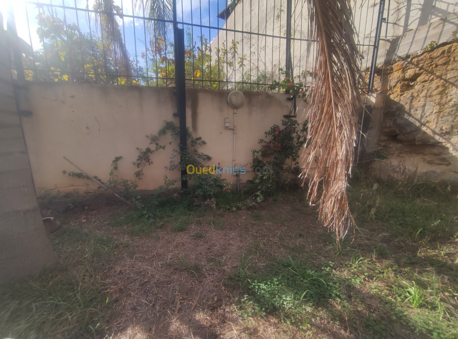 Vente Villa Alger El mouradia