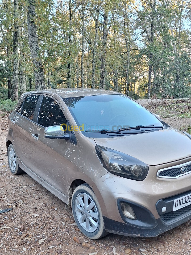 Kia Picanto 2013 Pop