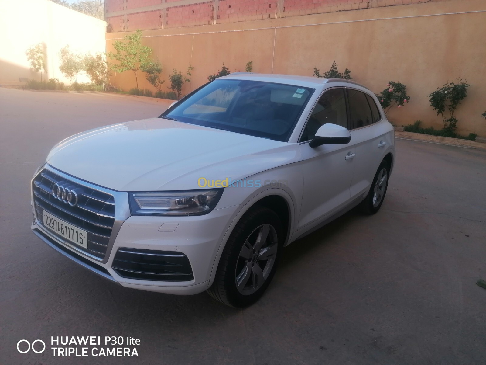 Audi Q5 2017 