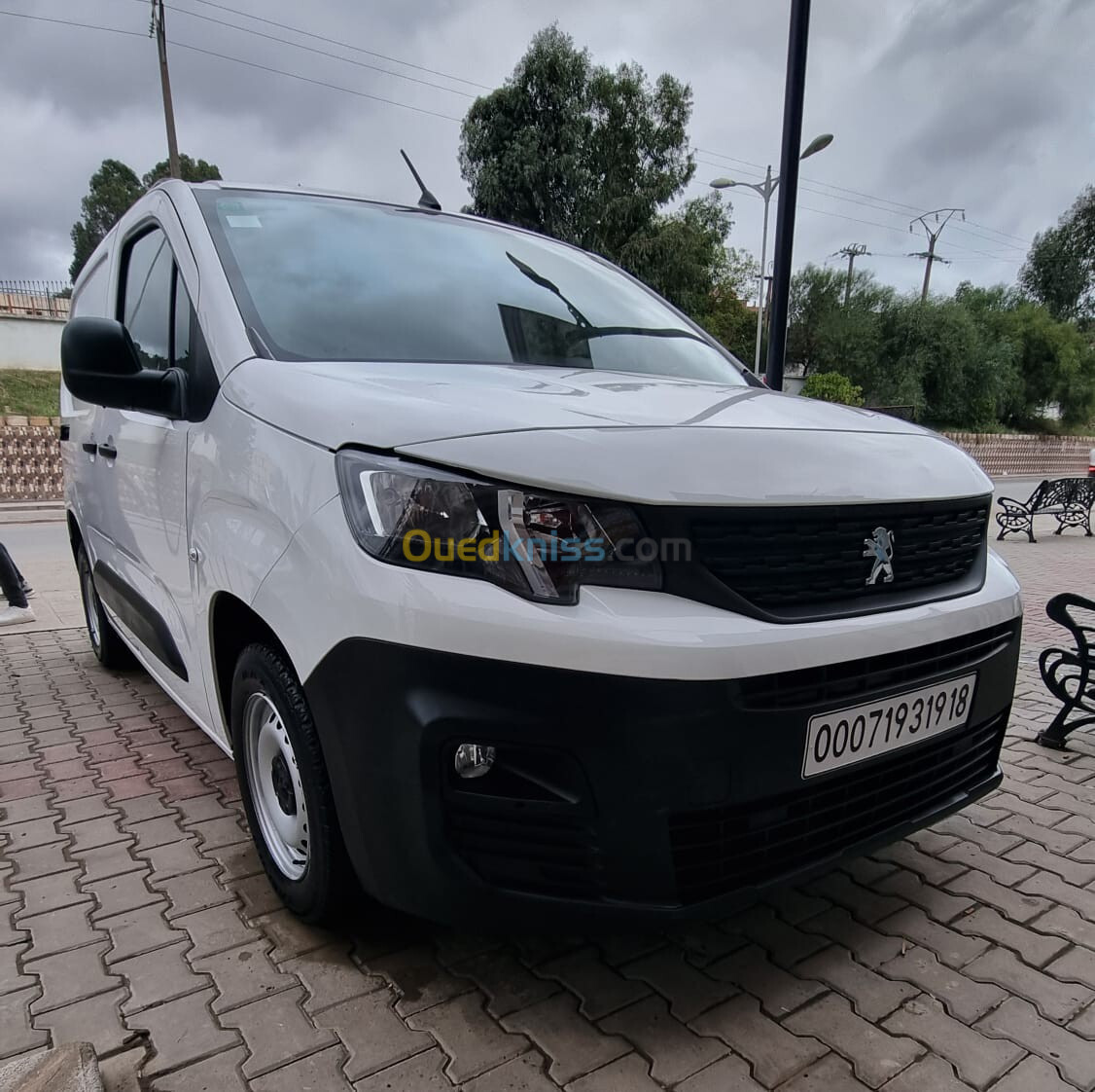 Peugeot Partner 2019 K9